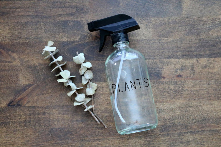 custom calligraphy clear glass spray bottle