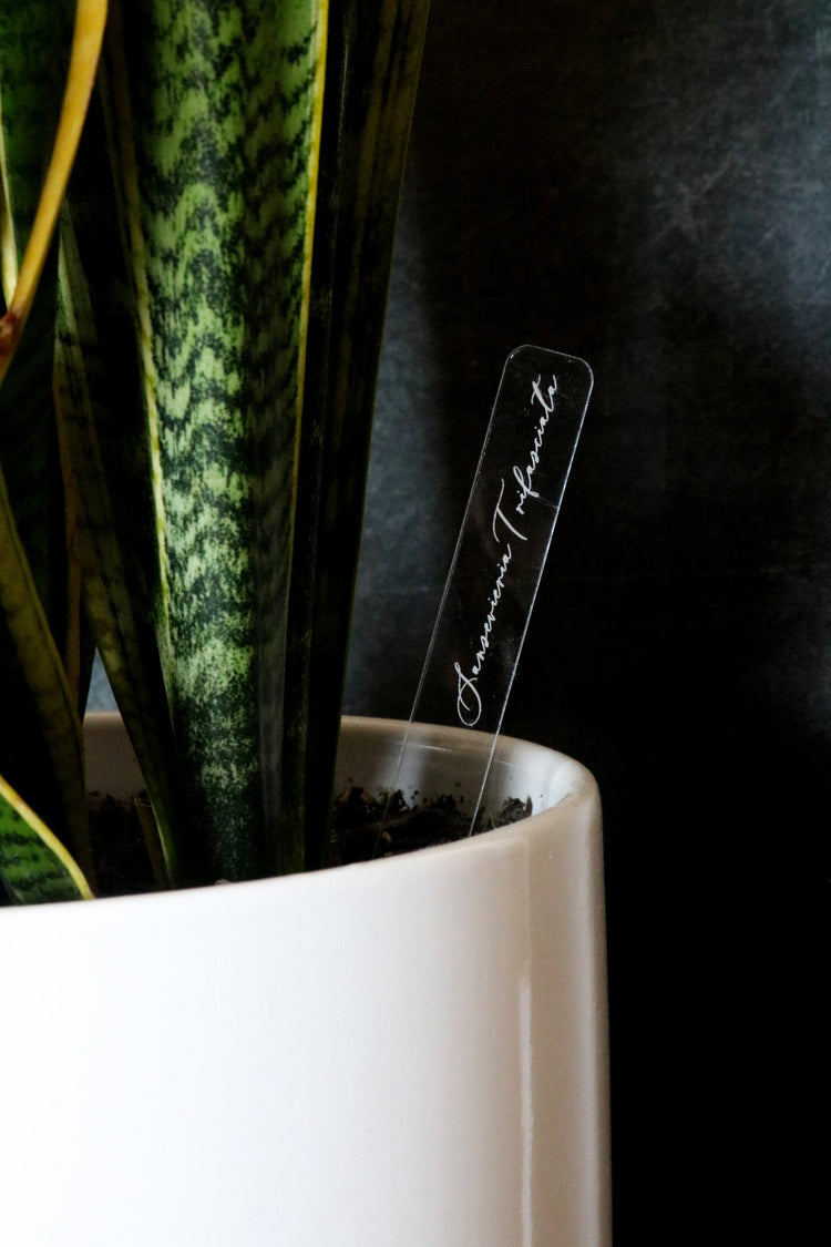 custom herb or plant marker stakes | set of 4
