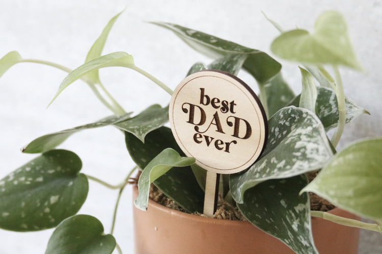 best dad ever wood plant sign