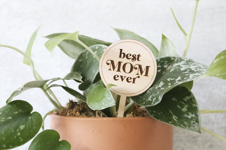 best mom ever wood plant sign