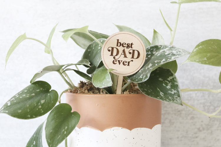 best dad ever wood plant sign