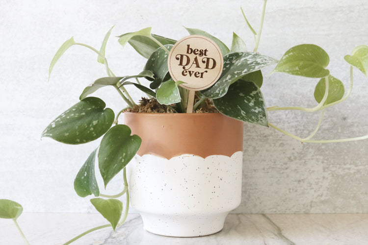 best dad ever wood plant sign