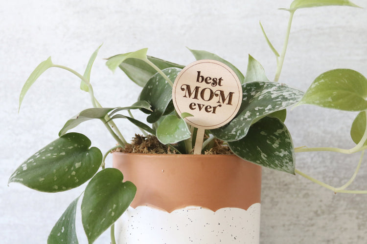 best mom ever wood plant sign