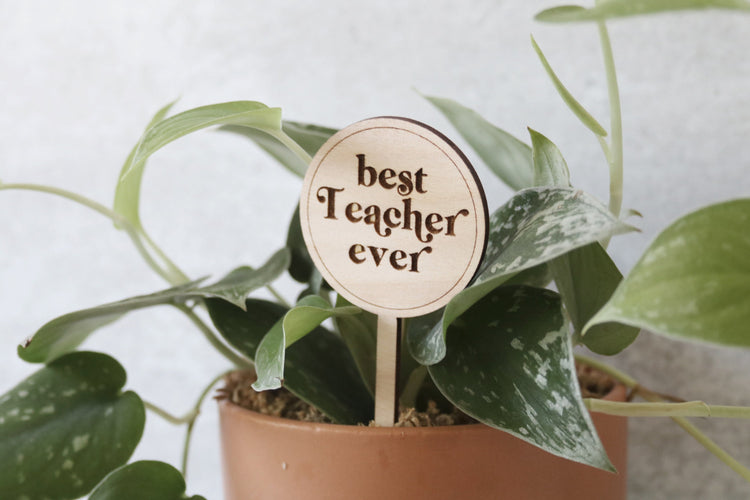 best teacher ever wood plant sign
