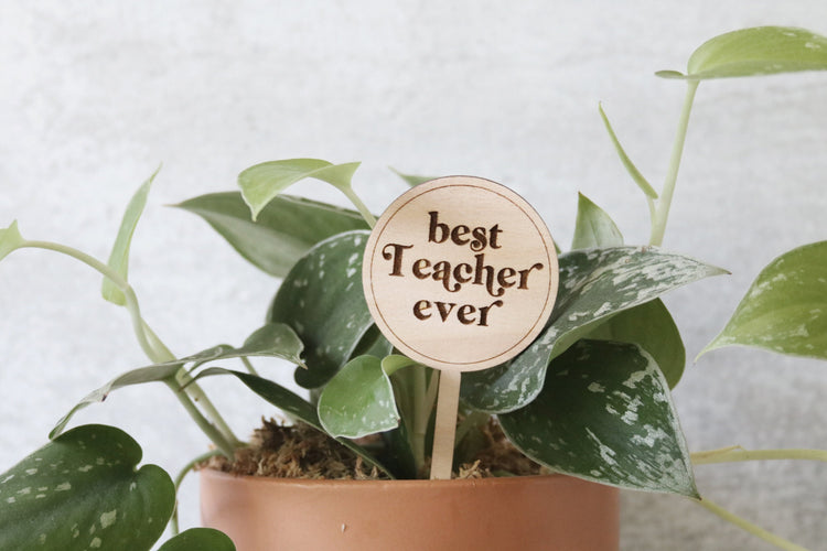best teacher ever wood plant sign