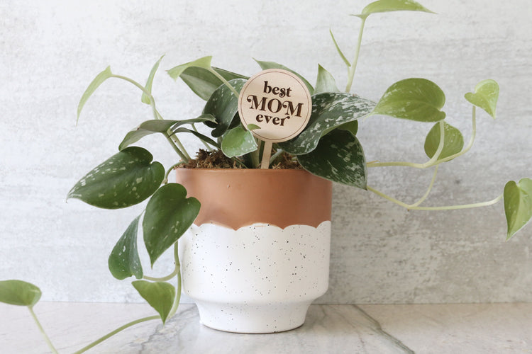 best mom ever wood plant sign