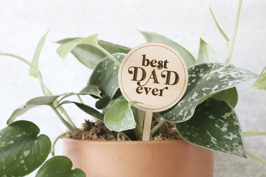 best dad ever wood plant sign
