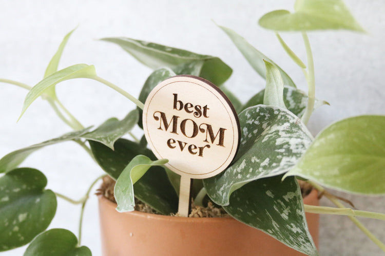 best mom ever wood plant sign